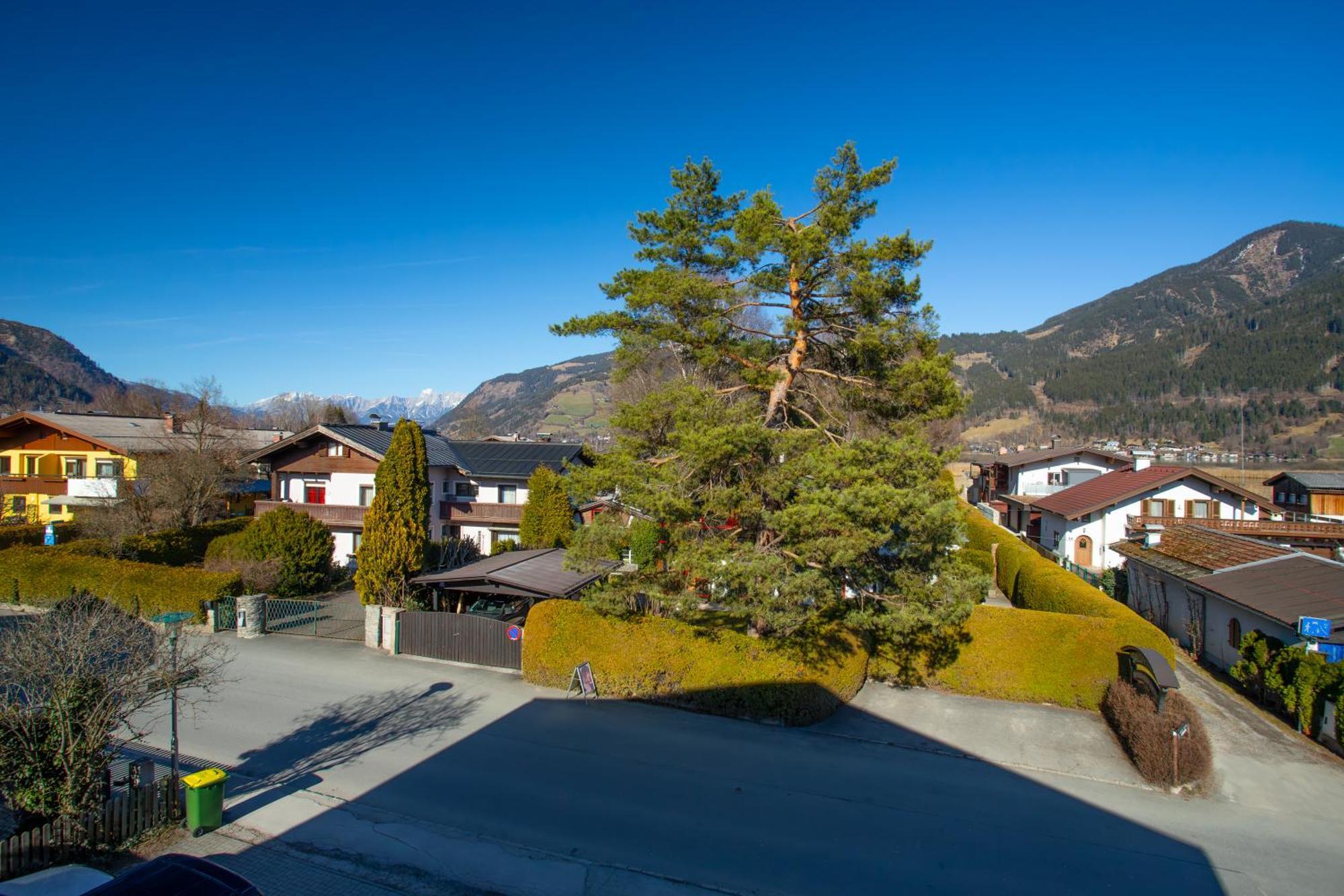 Alpina Apartments - Zell Am See Eksteriør billede